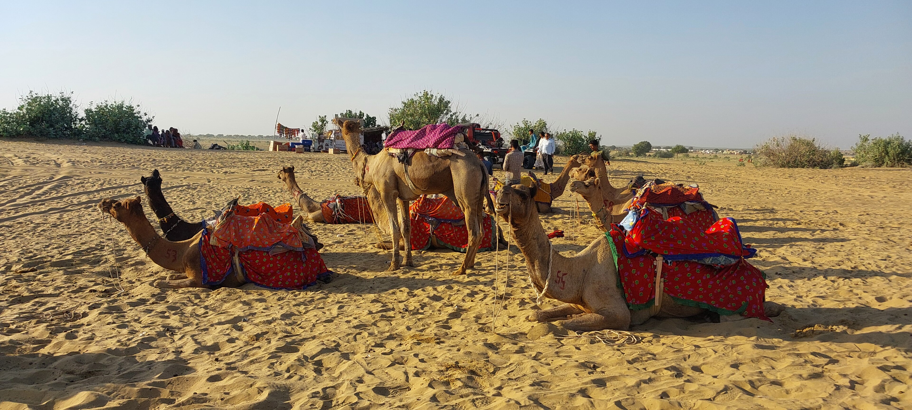 Jaisalmer — The Golden City of the Thar