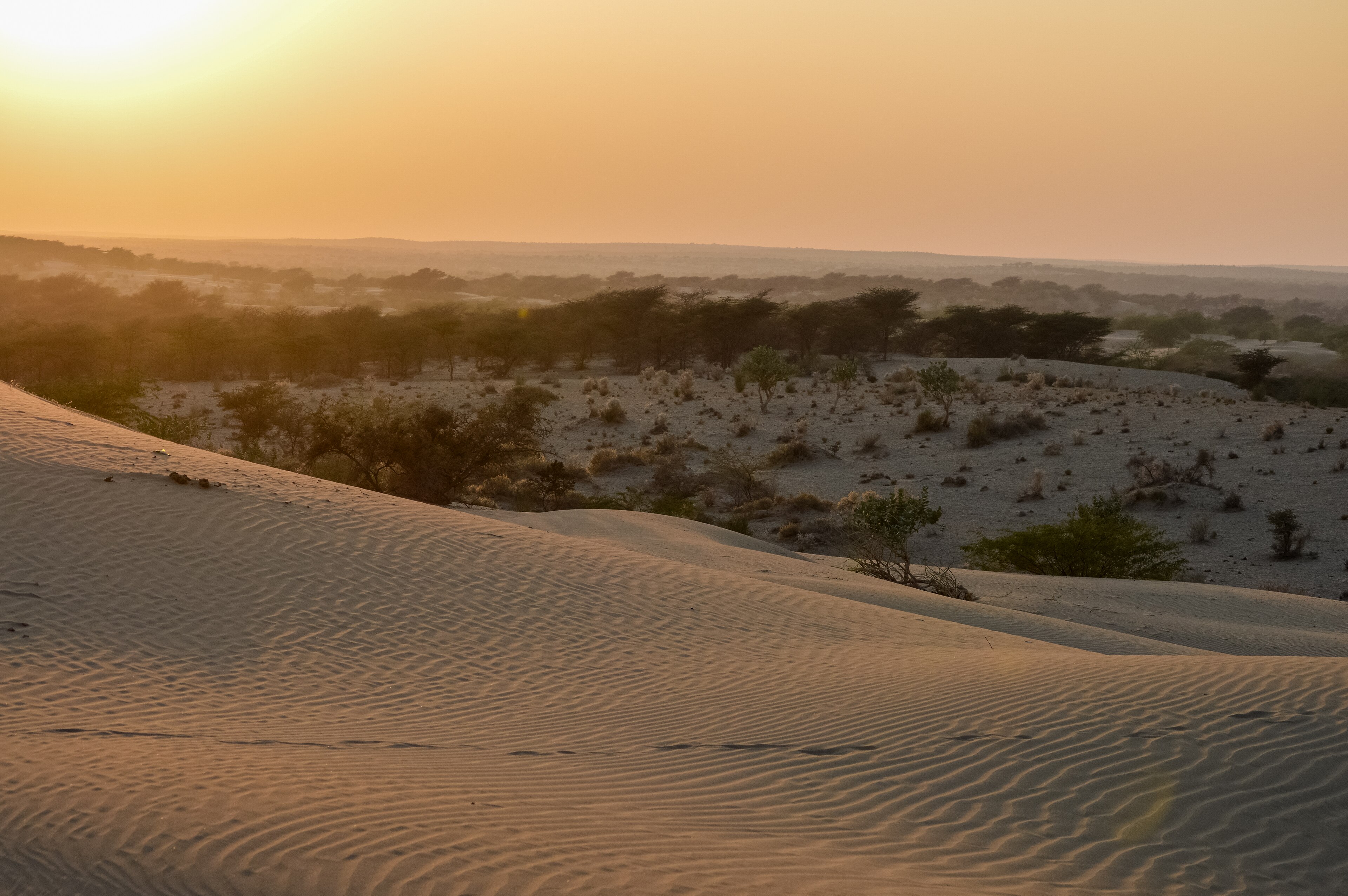 Jaisalmer — The Golden City of the Thar